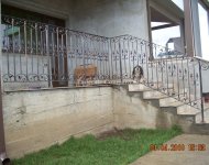 Balcoane fier forjat - 138