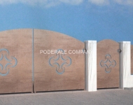 debitare cu plasma - oct 2018 - 119