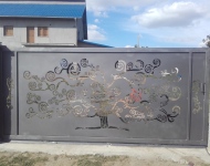 porti-fier-forjat-oct 2016-10