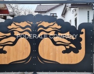 tabla_debitata_plasma_dec2021-070