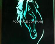 tabla_debitata_plasma_dec2021-086