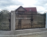 poarta fier forjat - ianuarie 2016 -01