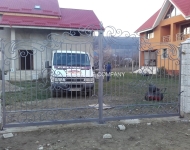 poarta fier forjat - ianuarie 2016 -17