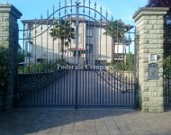 porti-fier-forjat-iunie-2013-13