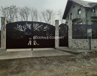 porti_fier_forat-porti_tabla_traforata_dec2020-_01