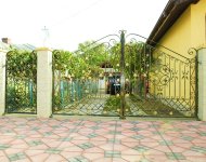 porti_fier_forjat_269